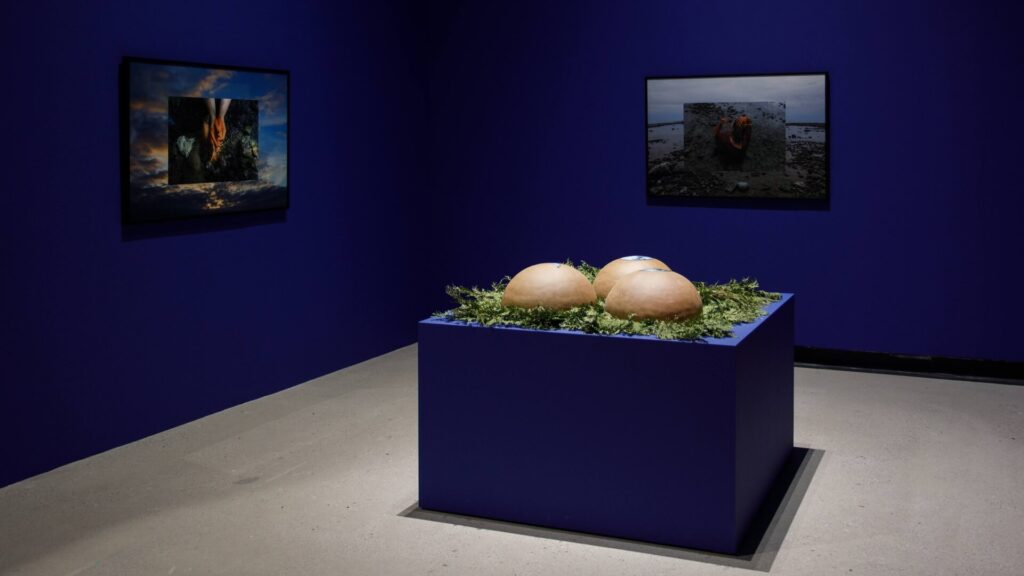 Image for ART GALLERY OF BURLINGTON_2025_TIME ISN_T REAL - 98 (1)