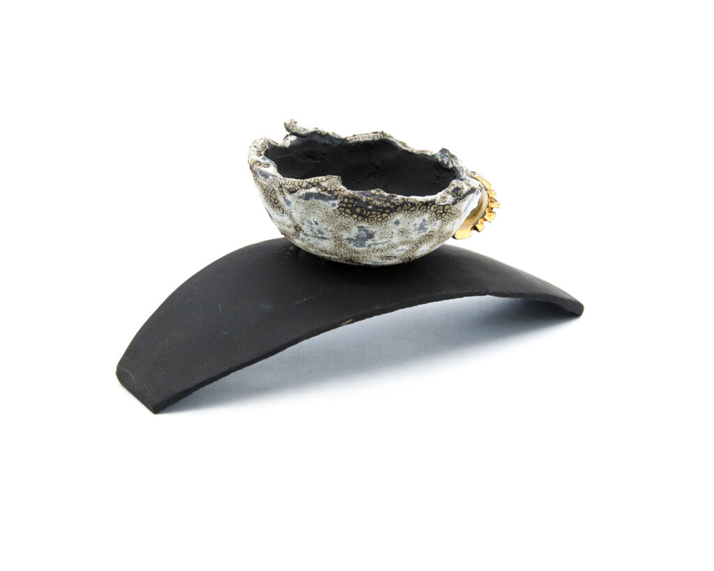 image for 2011.079.0.2